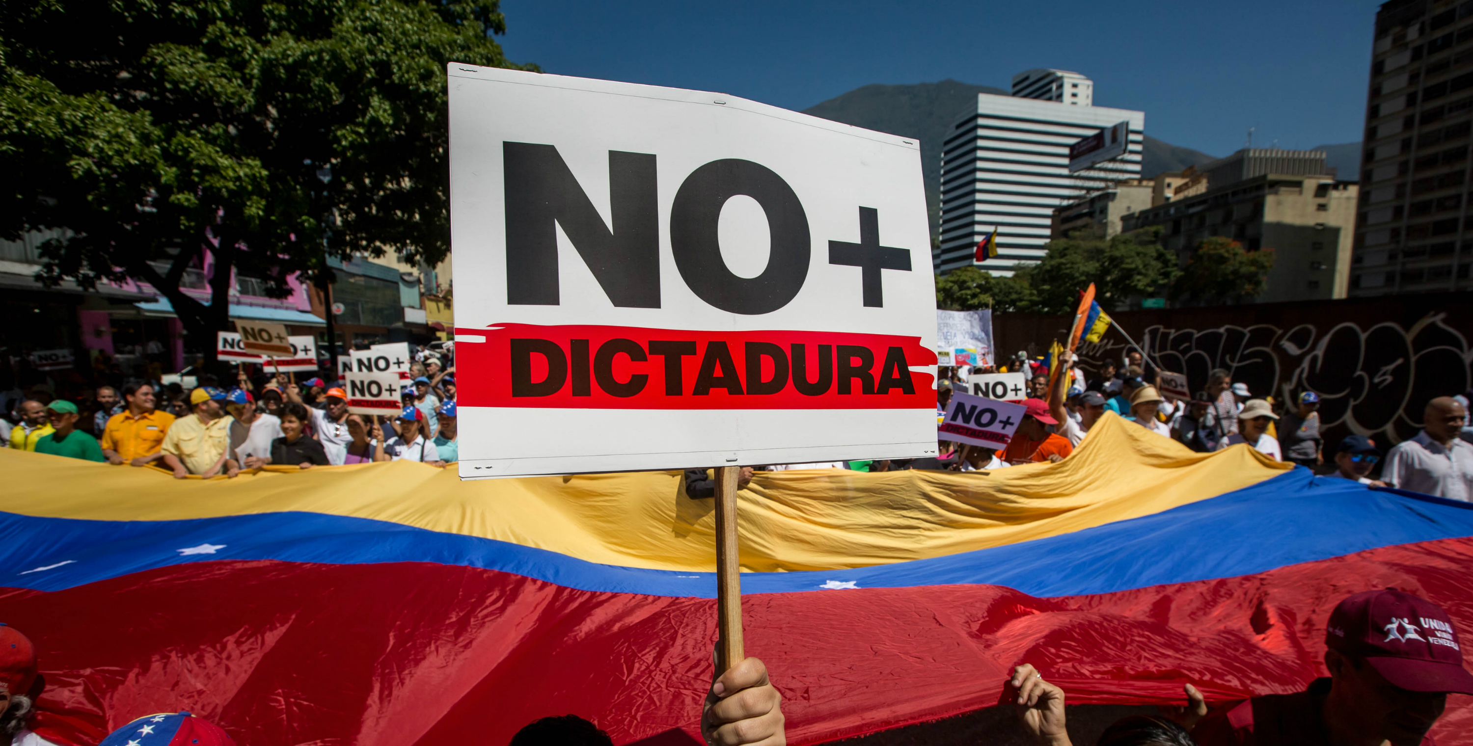 no + dictadura marcha opositora