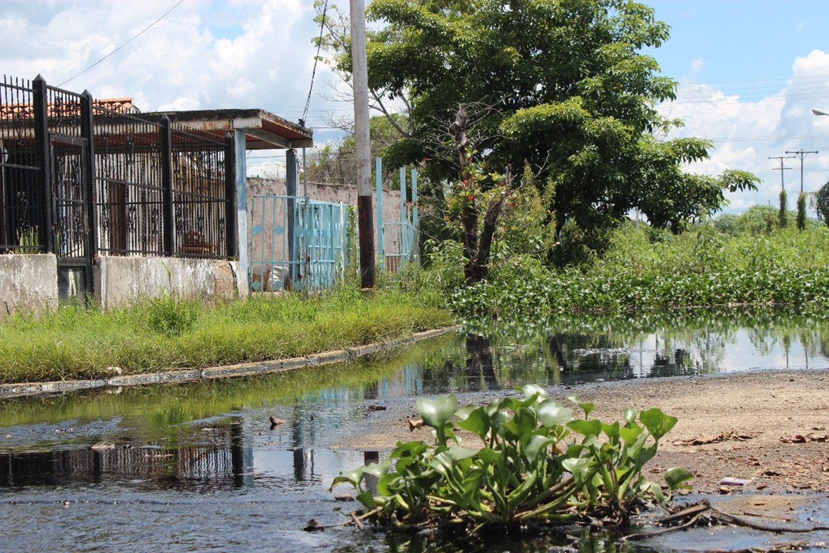 Casas afectadas en el sector Mata Redonda, Maracay. Foto: Mildred Manrique 
