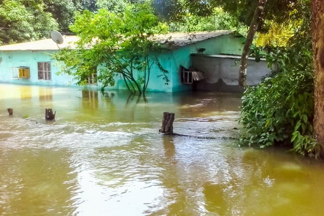 CAR001. PUERTO PAEZ (VENEZUELA), 11/08/2018 - Vista de calles inundadas hoy, sábado 11 de agosto de 2018, en la localidad de Puerto Paez, fronteriza con Colombia, en el estado de Apure (Venezuela). El Gobierno de Venezuela informó el jueves pasado que está "atento" a la situación de lluvias que ha ocasionado el desbordamiento de ríos, entre ellos el Orinoco, el más extenso de Venezuela, y que ha afectado a siete estados y a miles de personas, especialmente en el sur y en el este del país. EFE/Eduardo Galindo