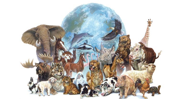 Día Mundial de Los Animales