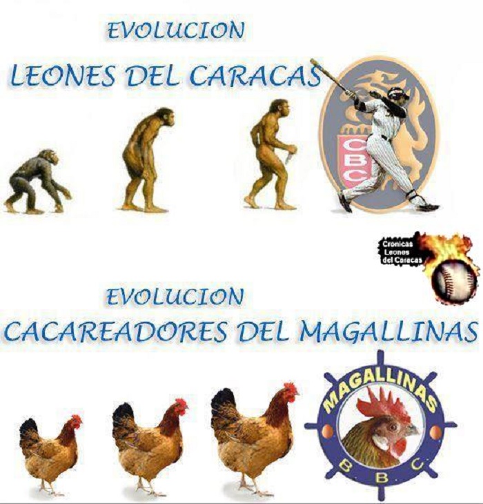 chalequeo-caracas-magallanes-3-cronicas-leones-cl