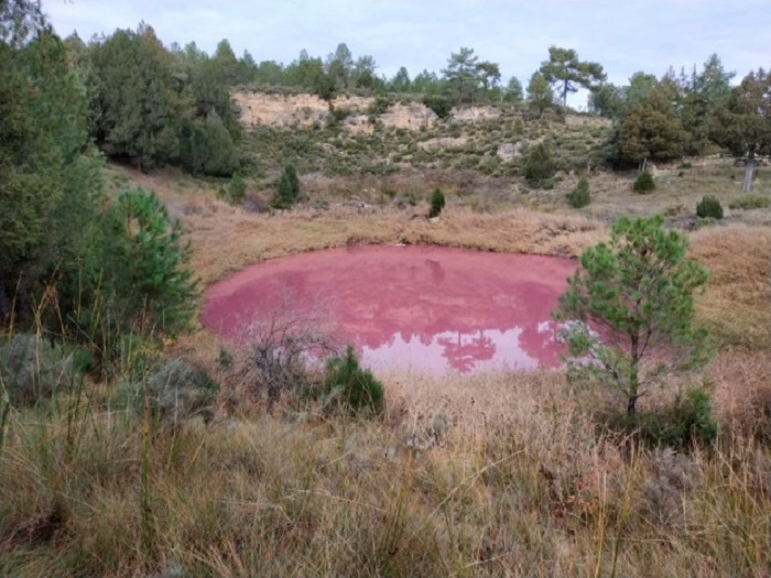 laguna rosada spain