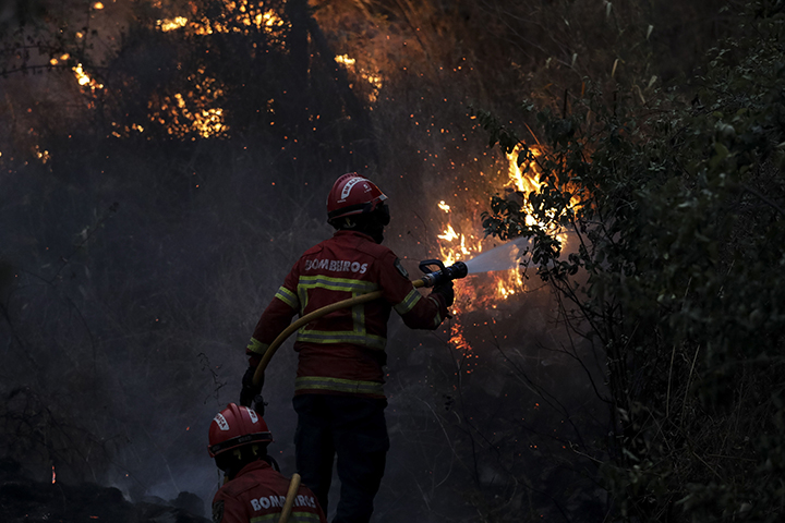 Macao (Portugal), 21/07/2019.- Firefighters try to extinguish a wildfire at Cardigos, near Macao, Portugal, 21 July 2019. According to reports, hundreds of firefighters, vehicles and planes are fighting at least three wildfires that broke out across central Portugal on 20 July and spread by strong wind. (Incendio) EFE/EPA/PAULO NOVAIS
