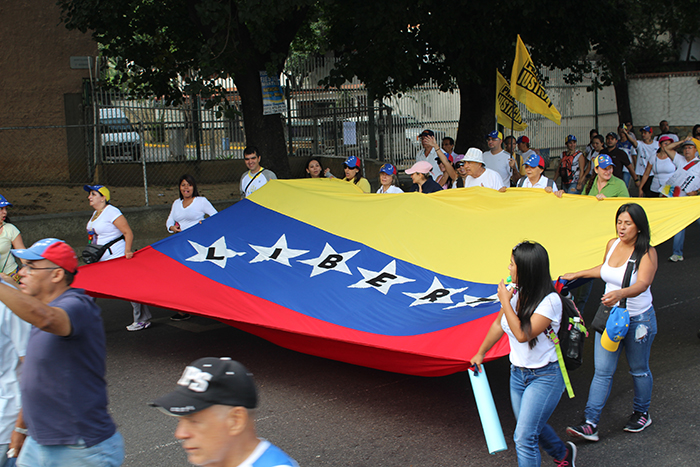 pancartas marcha 1S bandera de venezuela