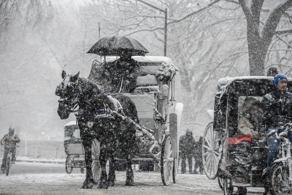 NEW YORK, NY - DECEMBER 09: Horse carriages carry passengers through the snow near Central Park on December 9, 2017 in New York City. The area is expected to see 3-6 inches of snow in the first snowfall of the season.   Stephanie Keith/Getty Images/AFP