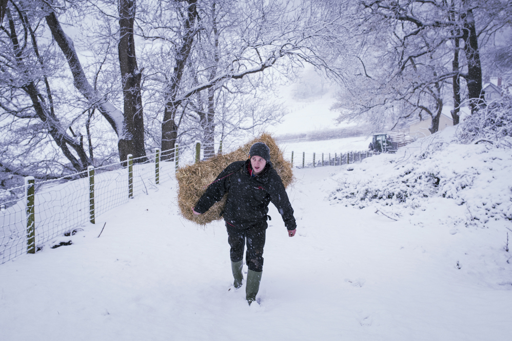Farmer Stephen Johnson carries a hay bale to feed his ponies in the snow at a farm in Llangollen, north Wales, on December 8, 2017, as Storm Caroline plunges temperatures across the UK. / AFP PHOTO / Phil HATCHER-MOORE