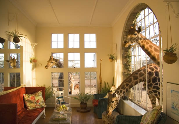 Giraffe Manor - hotel con jirafas en Nairobi