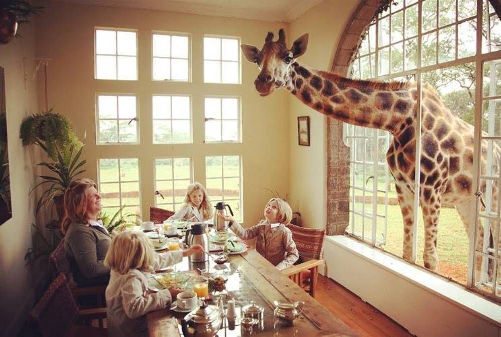 Giraffe Manor - hotel con jirafas