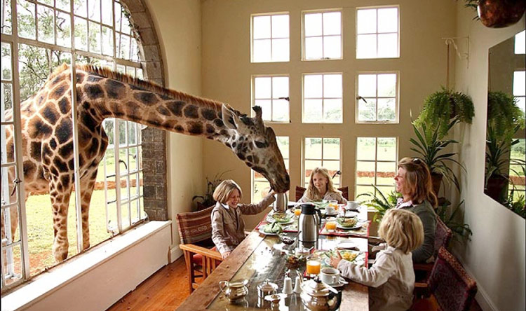 Giraffe Manor - hotel con muchas jirafas