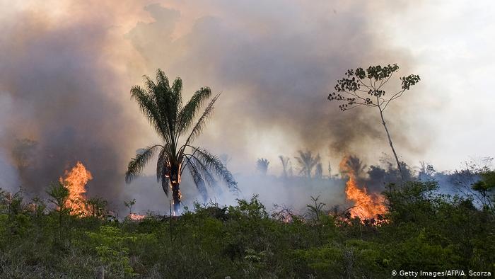 Incendio en Amazonía