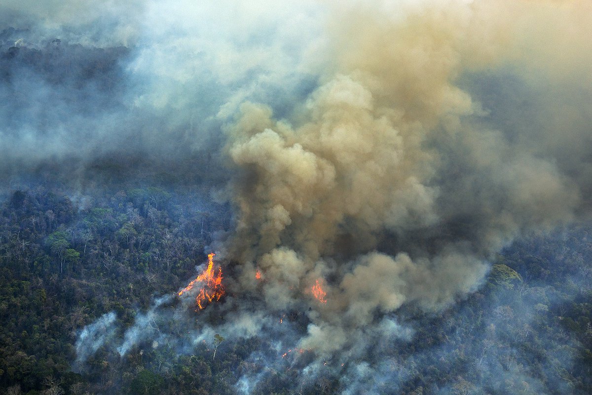 Incendio en la Amazonia - Brasil