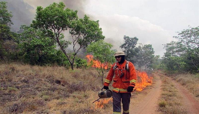 bomberos amazonia