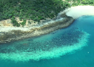 gran barrera de coral australia