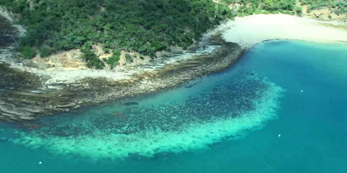 gran barrera de coral australia