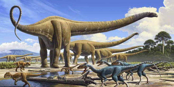 Los dinosaurios habitaron la costa de Portugal hace 129 millones de años -  800Noticias
