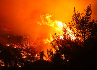 Grecia | Incendios han consumido al menos 1.500 hectáreas