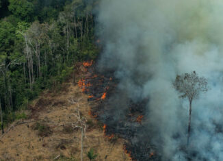 Sequía y deforestación se agudizarán Latinoamérica