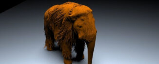 Encuentran un bebé mamut congelado hace 30 mil años