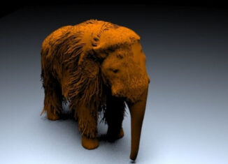 Encuentran un bebé mamut congelado hace 30 mil años