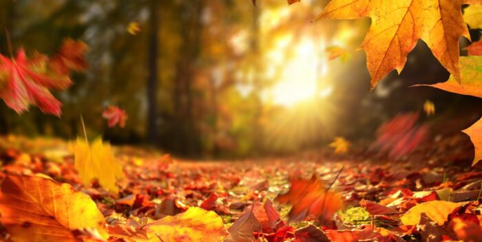 ¿Por qué se produce el equinoccio de otoño?