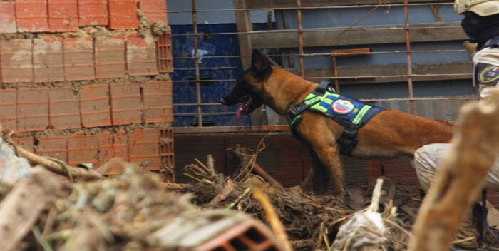 Unidad canina rescata con vida a 5 personas en Las Tejerías