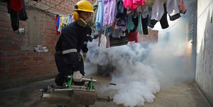 ONG alerta sobre el aumento de casos de dengue en Caracas - 800Noticias